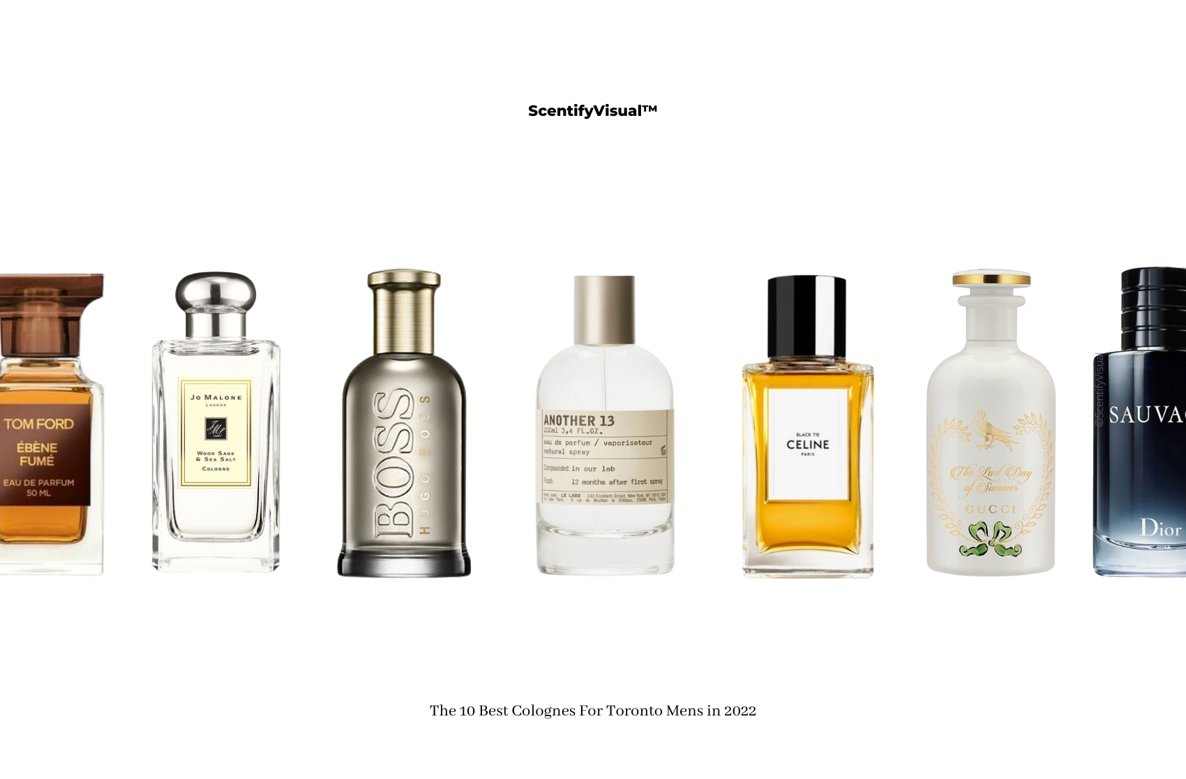 Best Of 2022 Cologne